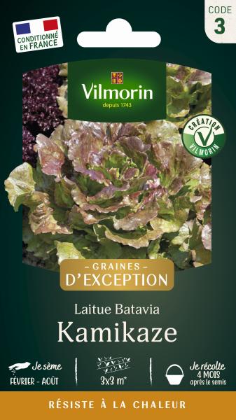 Potagères - Laitue Batavia Kamikaze - Graines d'Exception - PACKAGING_RECTO